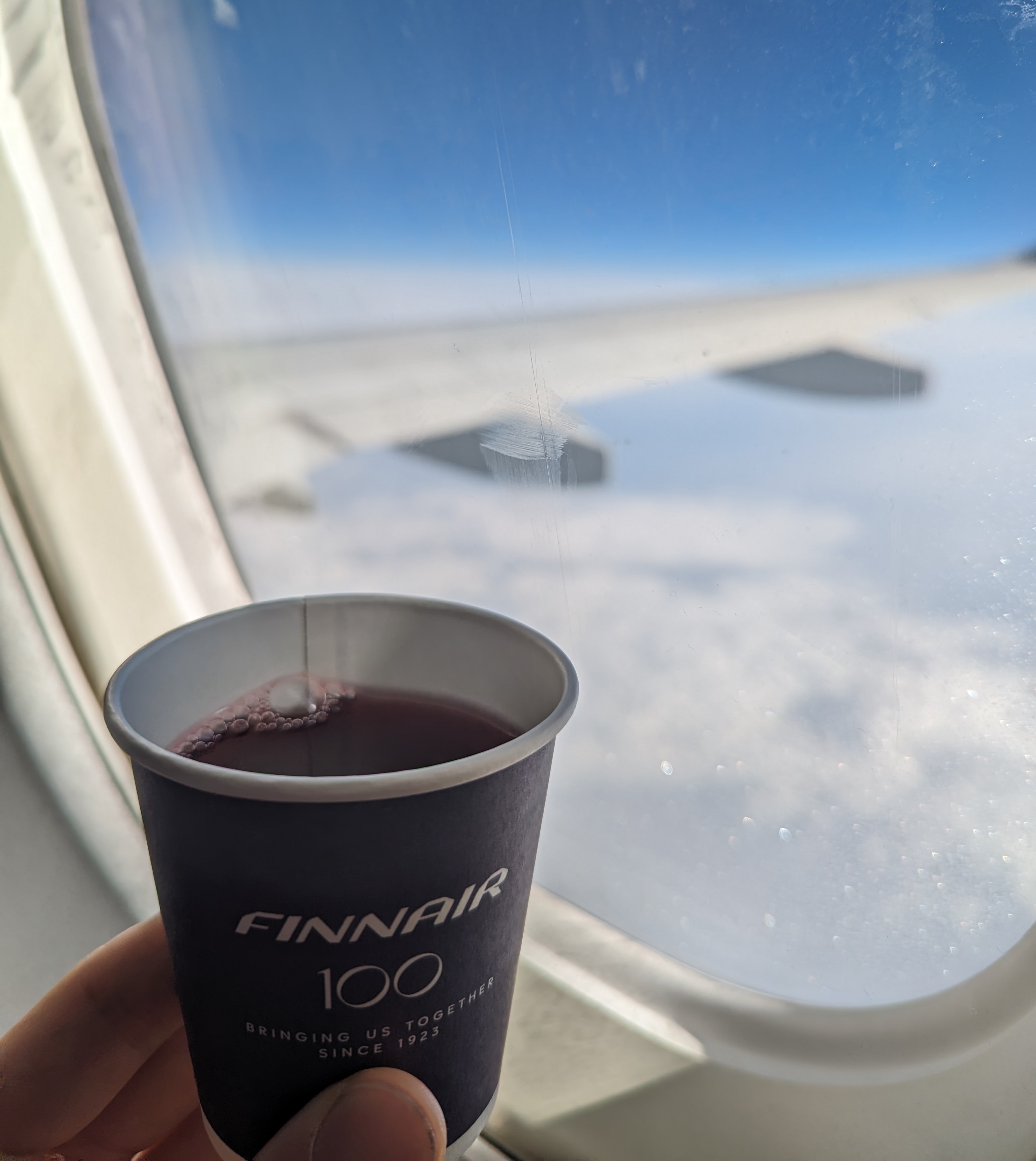 Die Finnen überzeugten im Flugzeug mit frischem Blaubeersaft