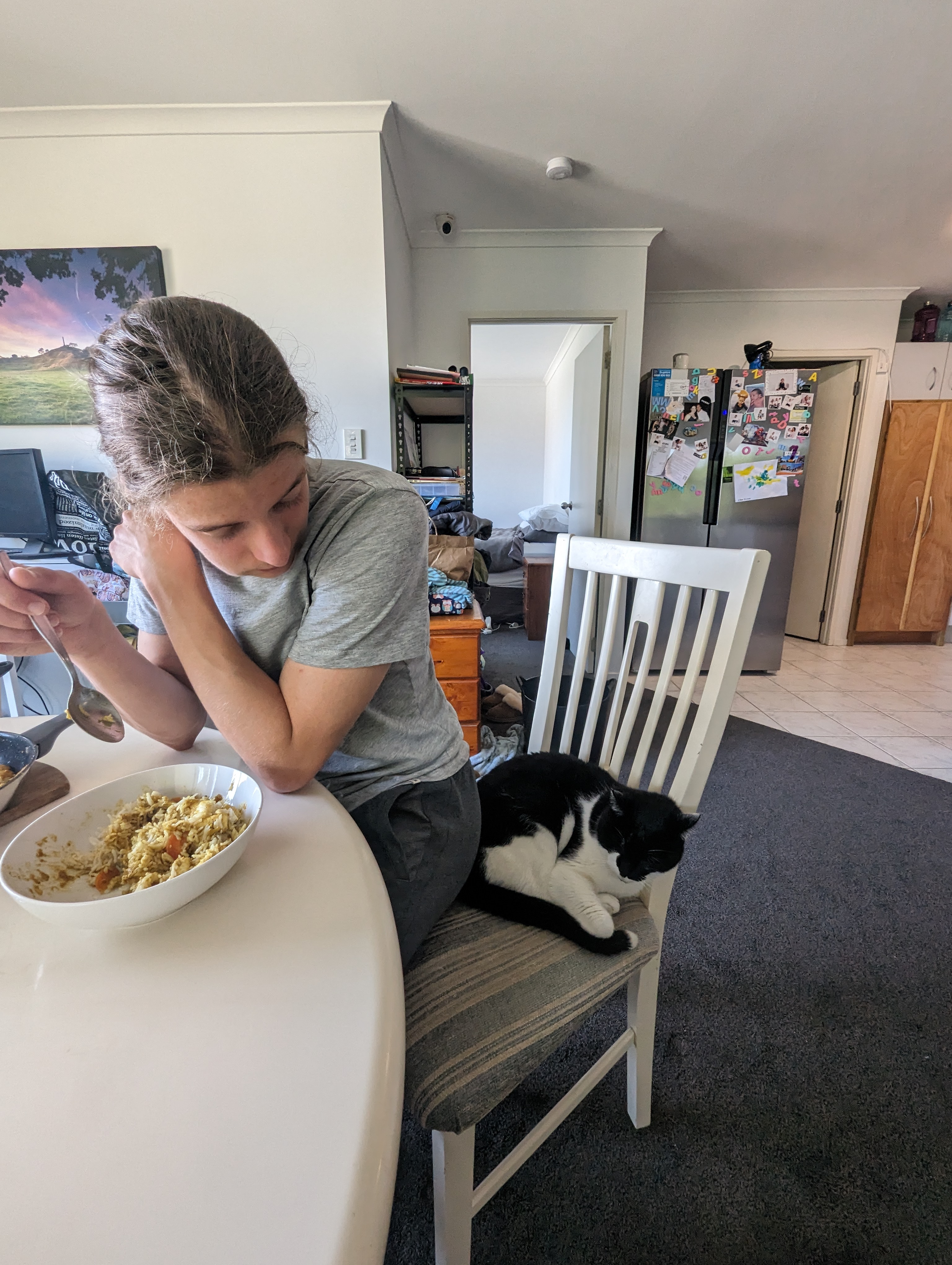 Katzen